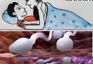 🛑Studies reveal that swallowing your partner’s semen…Read More